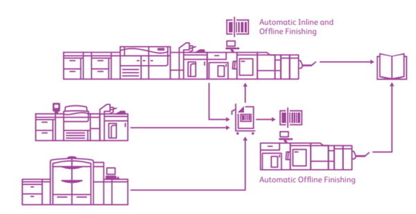 DMSF-10 workflow