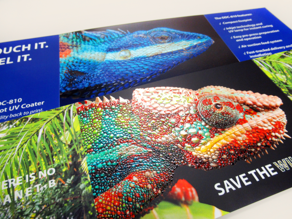 Save the wildlife gatefold