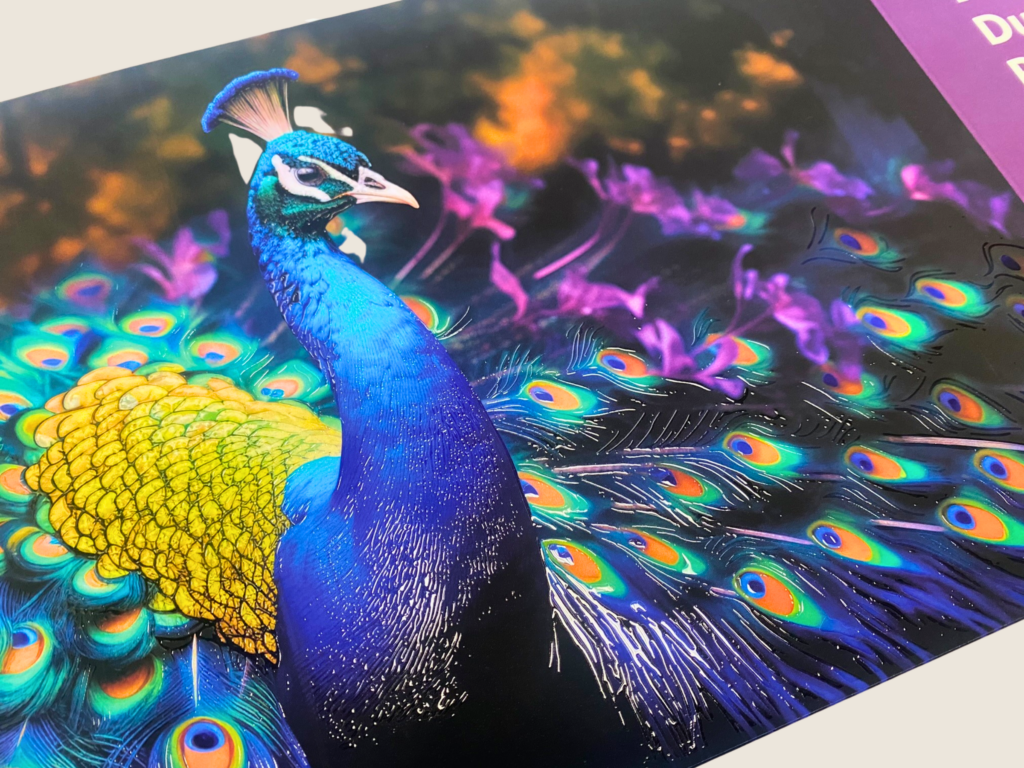 peacock trifold with soft touch and spot uv